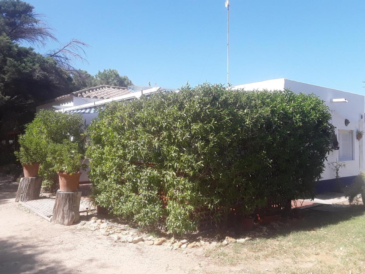 En Finca Las Dunas Dos Chalets Con Jacuzzis En Primera Linea De Playa , Uno De 4 Dormitorios Y Otro De 2 Dormitorios, Llama Al Seiscientos Veintisiete Cuatrocientos Diecisiete Trescientos Noventa Y Ocho โรตา ภายนอก รูปภาพ