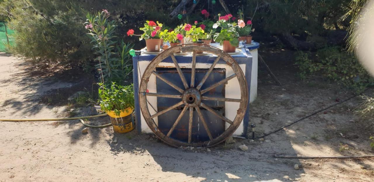 En Finca Las Dunas Dos Chalets Con Jacuzzis En Primera Linea De Playa , Uno De 4 Dormitorios Y Otro De 2 Dormitorios, Llama Al Seiscientos Veintisiete Cuatrocientos Diecisiete Trescientos Noventa Y Ocho โรตา ภายนอก รูปภาพ