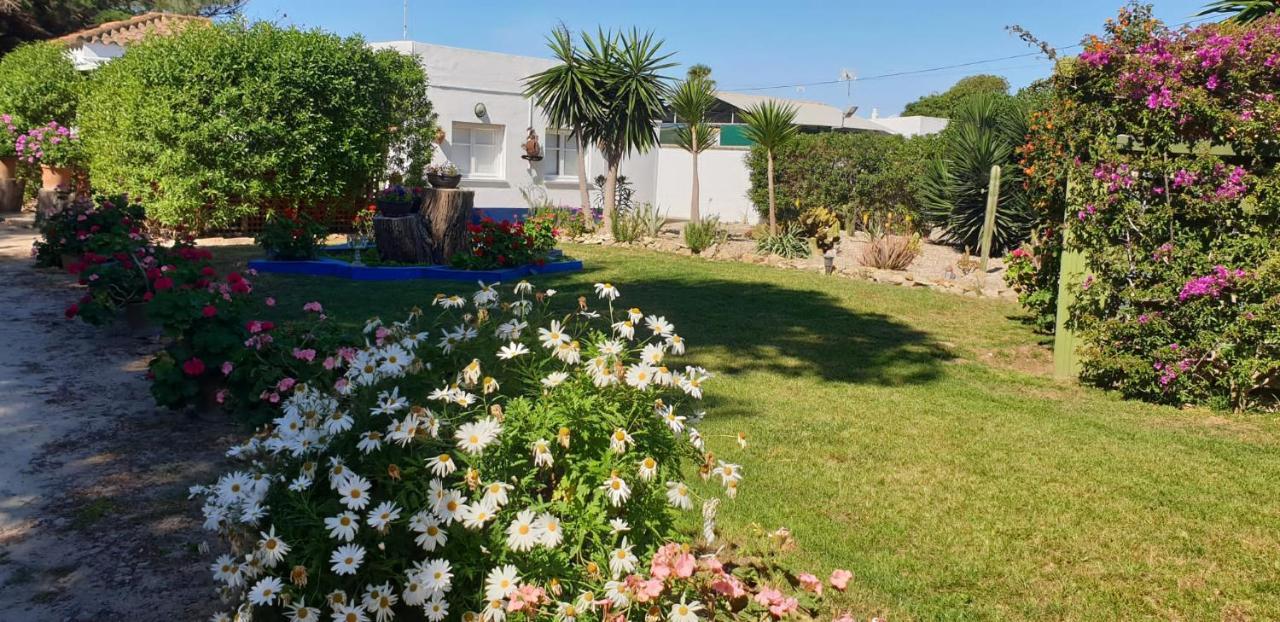 En Finca Las Dunas Dos Chalets Con Jacuzzis En Primera Linea De Playa , Uno De 4 Dormitorios Y Otro De 2 Dormitorios, Llama Al Seiscientos Veintisiete Cuatrocientos Diecisiete Trescientos Noventa Y Ocho โรตา ภายนอก รูปภาพ