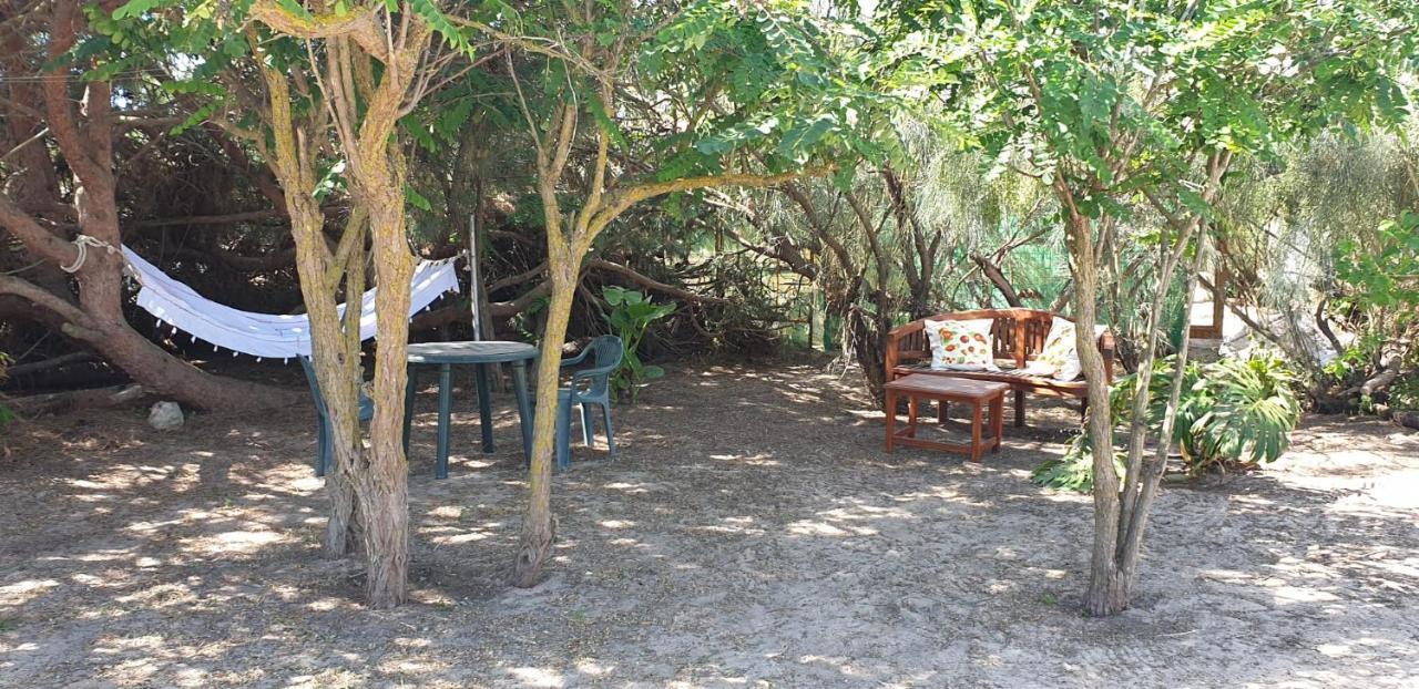 En Finca Las Dunas Dos Chalets Con Jacuzzis En Primera Linea De Playa , Uno De 4 Dormitorios Y Otro De 2 Dormitorios, Llama Al Seiscientos Veintisiete Cuatrocientos Diecisiete Trescientos Noventa Y Ocho โรตา ภายนอก รูปภาพ