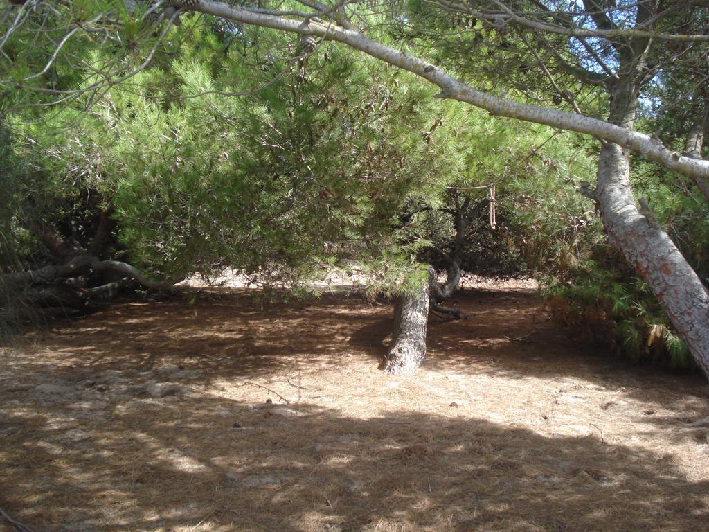 Finca Las Dunas Con Dos Chalets Con Jacuzzis En Primera Linea De Playa Uno De 4 Dormitorios Y Otro De 2 Dormitorios โรตา ห้อง รูปภาพ