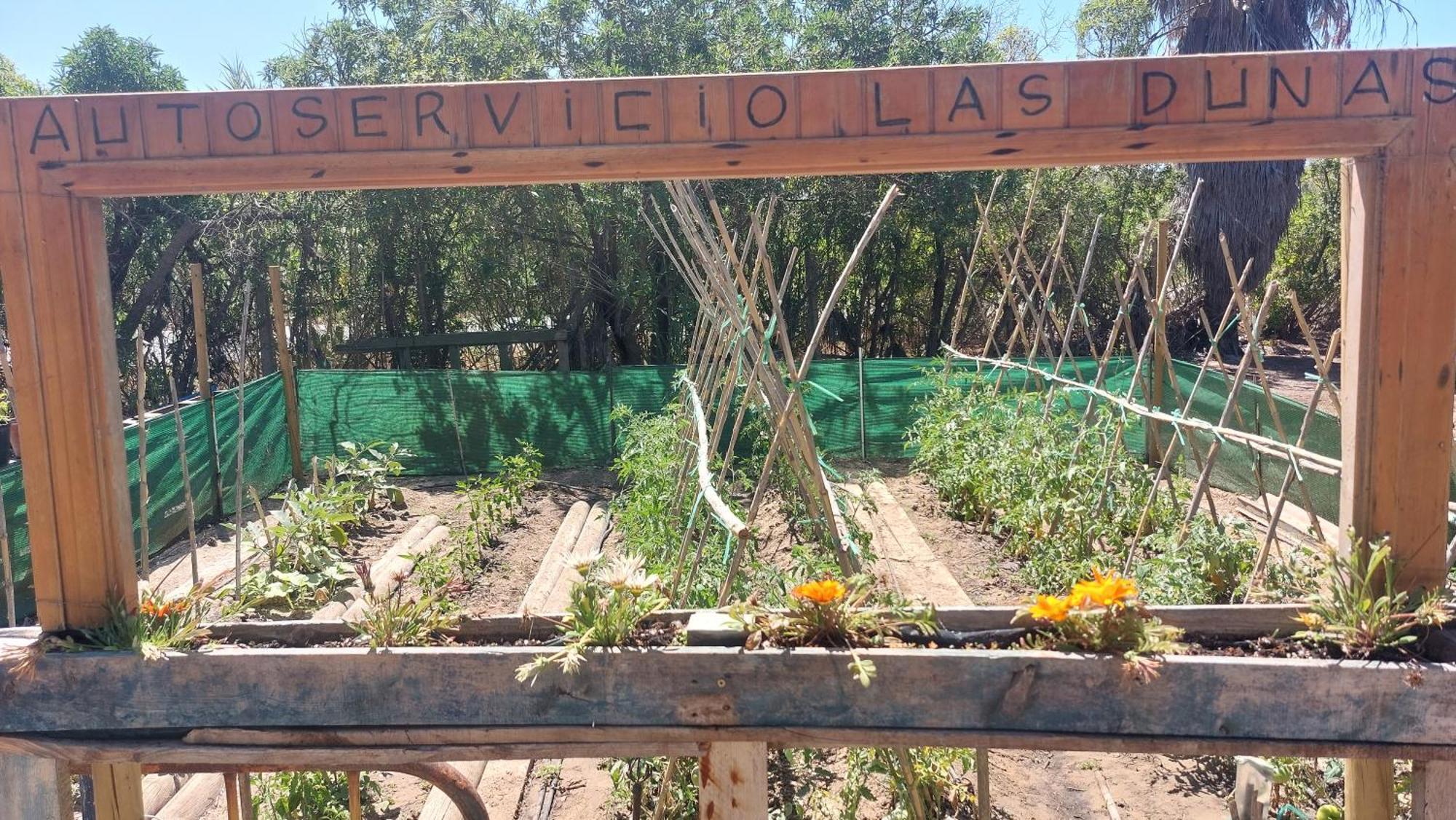 En Finca Las Dunas Dos Chalets Con Jacuzzis En Primera Linea De Playa , Uno De 4 Dormitorios Y Otro De 2 Dormitorios, Llama Al Seiscientos Veintisiete Cuatrocientos Diecisiete Trescientos Noventa Y Ocho โรตา ห้อง รูปภาพ