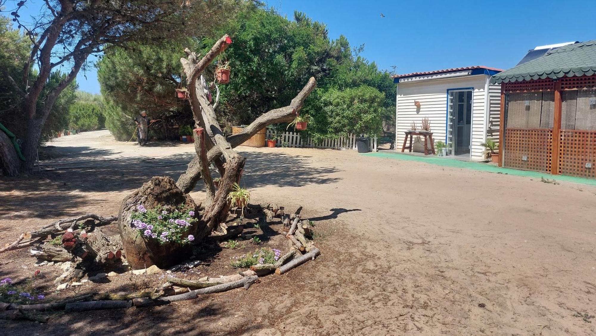 En Finca Las Dunas Dos Chalets Con Jacuzzis En Primera Linea De Playa , Uno De 4 Dormitorios Y Otro De 2 Dormitorios, Llama Al Seiscientos Veintisiete Cuatrocientos Diecisiete Trescientos Noventa Y Ocho โรตา ภายนอก รูปภาพ