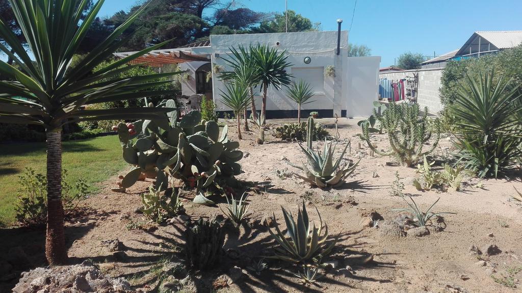 En Finca Las Dunas Dos Chalets Con Jacuzzis En Primera Linea De Playa , Uno De 4 Dormitorios Y Otro De 2 Dormitorios, Llama Al Seiscientos Veintisiete Cuatrocientos Diecisiete Trescientos Noventa Y Ocho โรตา ภายนอก รูปภาพ