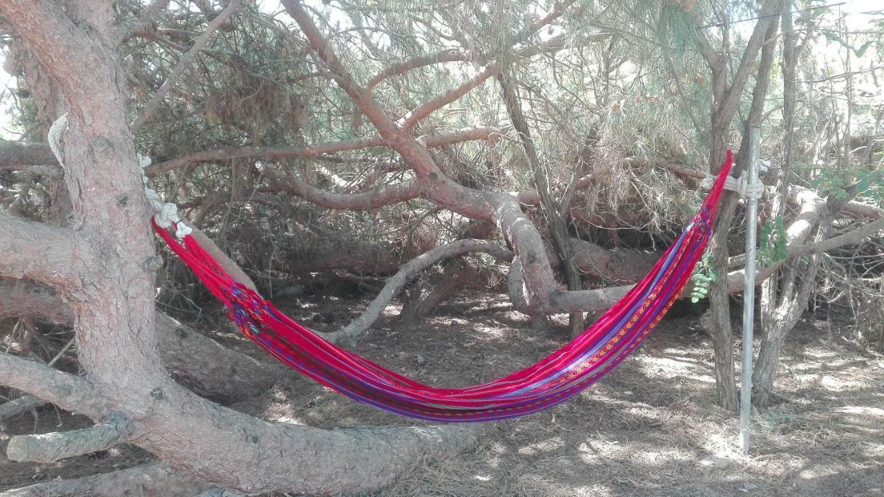 En Finca Las Dunas Dos Chalets Con Jacuzzis En Primera Linea De Playa , Uno De 4 Dormitorios Y Otro De 2 Dormitorios, Llama Al Seiscientos Veintisiete Cuatrocientos Diecisiete Trescientos Noventa Y Ocho โรตา ภายนอก รูปภาพ
