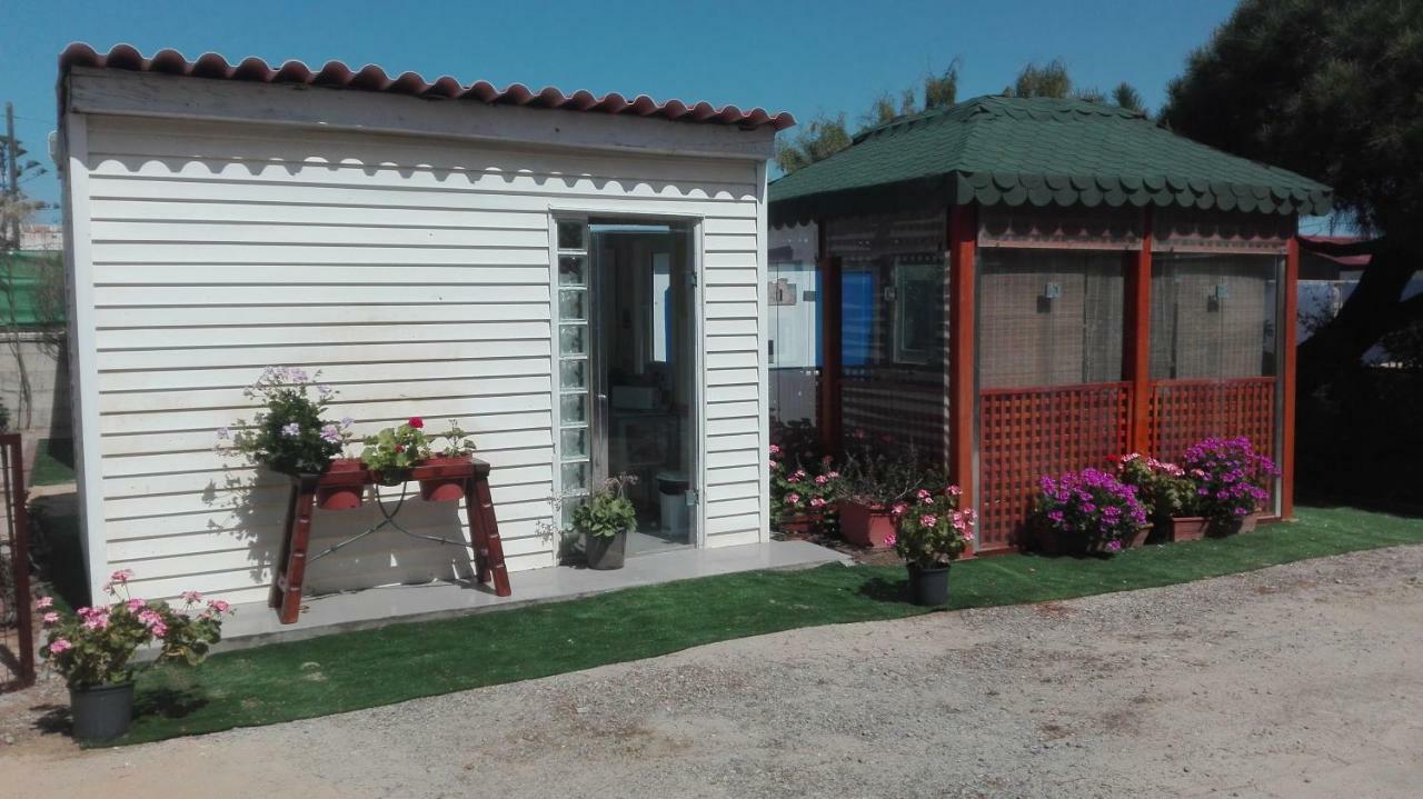En Finca Las Dunas Dos Chalets Con Jacuzzis En Primera Linea De Playa , Uno De 4 Dormitorios Y Otro De 2 Dormitorios, Llama Al Seiscientos Veintisiete Cuatrocientos Diecisiete Trescientos Noventa Y Ocho โรตา ภายนอก รูปภาพ